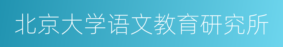 北京大学语文教育研究所的同义词