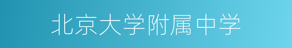 北京大学附属中学的同义词