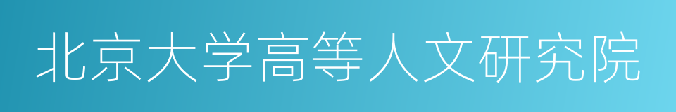 北京大学高等人文研究院的同义词
