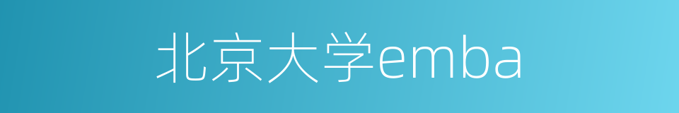 北京大学emba的同义词
