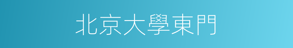 北京大學東門的同義詞