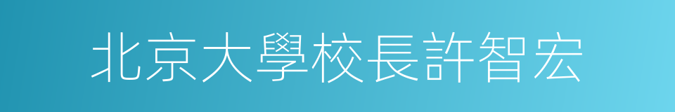 北京大學校長許智宏的同義詞