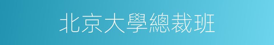 北京大學總裁班的同義詞
