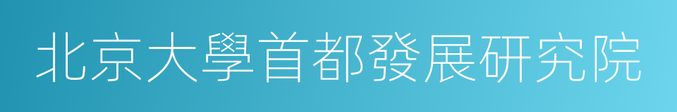 北京大學首都發展研究院的同義詞