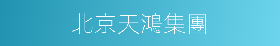 北京天鴻集團的同義詞