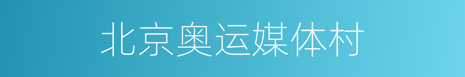 北京奥运媒体村的同义词