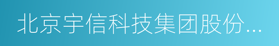 北京宇信科技集团股份有限公司的同义词