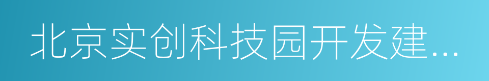 北京实创科技园开发建设股份有限公司的同义词