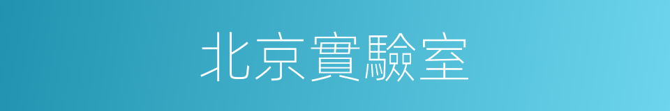 北京實驗室的同義詞