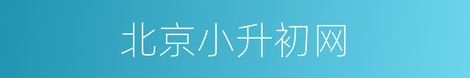 北京小升初网的同义词