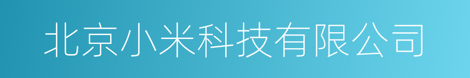 北京小米科技有限公司的同义词