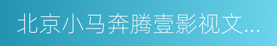 北京小马奔腾壹影视文化发展有限公司的同义词