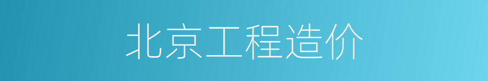 北京工程造价的同义词