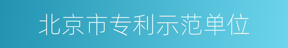 北京市专利示范单位的同义词