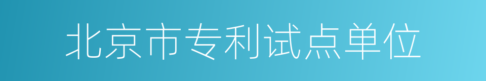 北京市专利试点单位的同义词