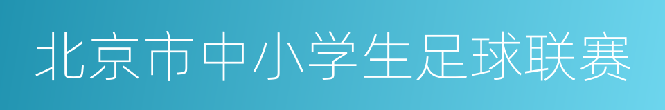 北京市中小学生足球联赛的同义词