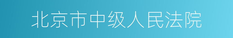 北京市中级人民法院的同义词