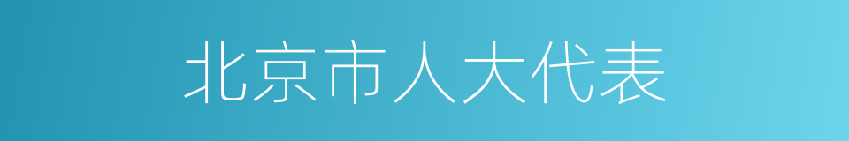 北京市人大代表的同义词