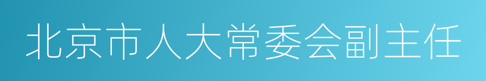 北京市人大常委会副主任的同义词