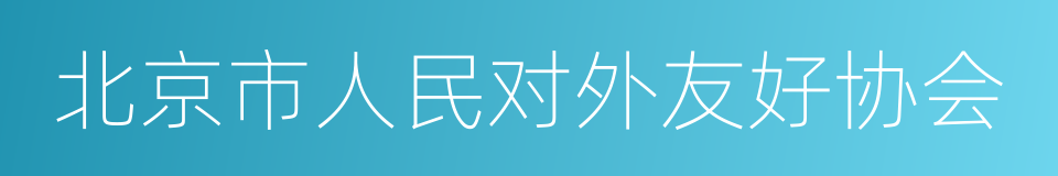 北京市人民对外友好协会的同义词