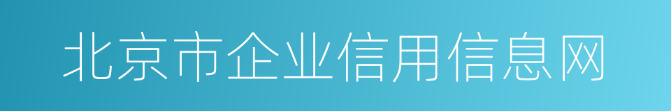 北京市企业信用信息网的同义词