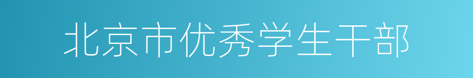 北京市优秀学生干部的同义词