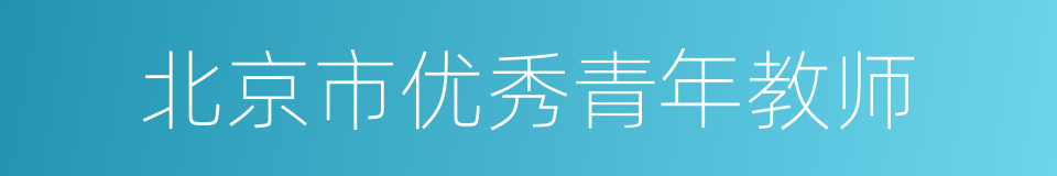 北京市优秀青年教师的同义词