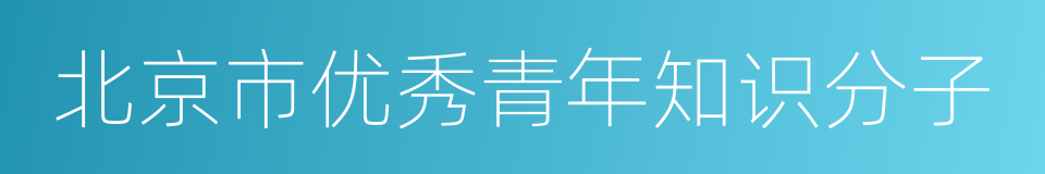 北京市优秀青年知识分子的同义词