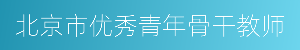 北京市优秀青年骨干教师的同义词