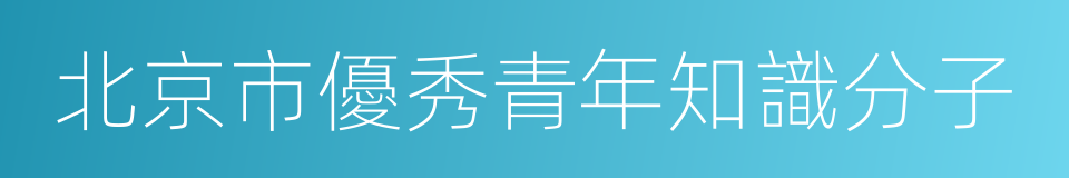 北京市優秀青年知識分子的同義詞