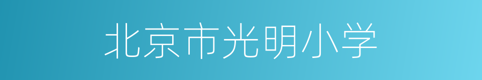 北京市光明小学的同义词