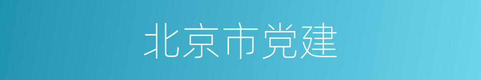 北京市党建的同义词