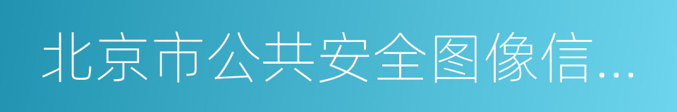 北京市公共安全图像信息系统管理办法的同义词