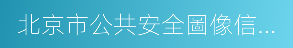 北京市公共安全圖像信息系統管理辦法的同義詞