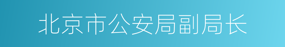 北京市公安局副局长的同义词