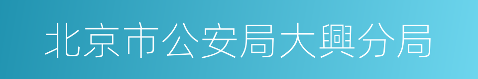 北京市公安局大興分局的同義詞