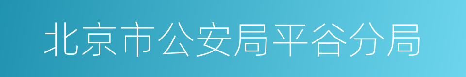 北京市公安局平谷分局的同义词