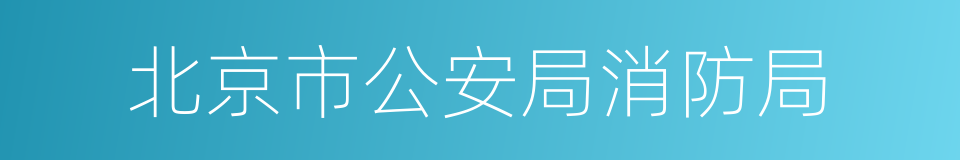 北京市公安局消防局的同义词