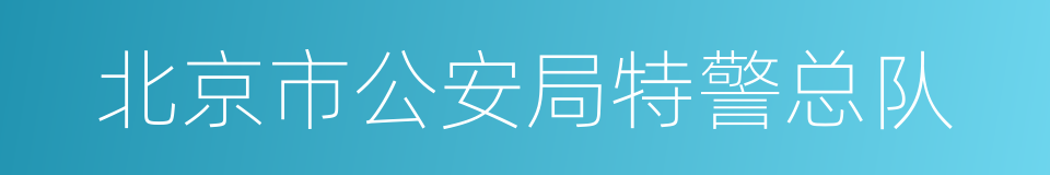 北京市公安局特警总队的同义词