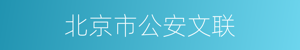 北京市公安文联的同义词