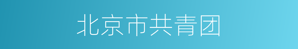 北京市共青团的同义词