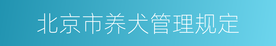 北京市养犬管理规定的同义词