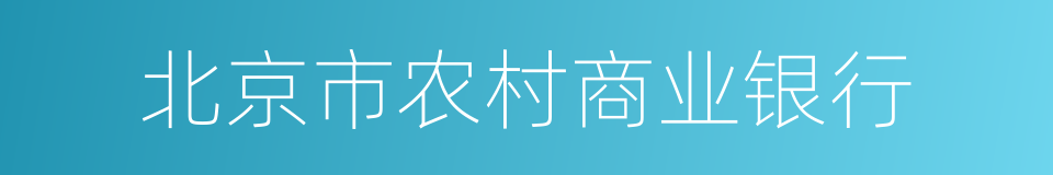 北京市农村商业银行的同义词