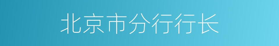 北京市分行行长的同义词