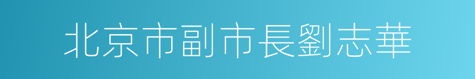 北京市副市長劉志華的同義詞