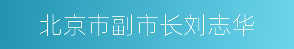 北京市副市长刘志华的同义词