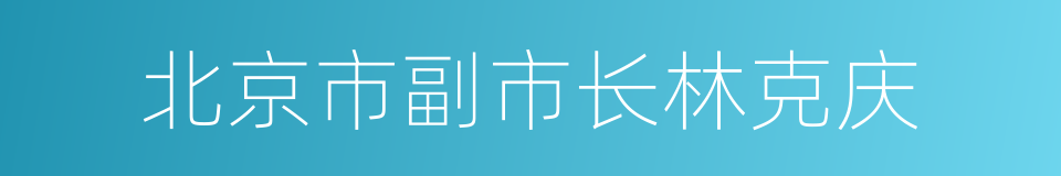 北京市副市长林克庆的同义词