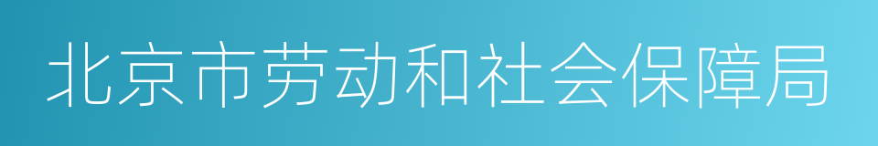 北京市劳动和社会保障局的同义词