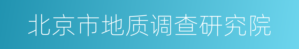 北京市地质调查研究院的同义词