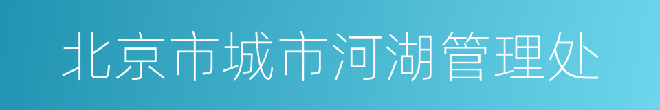 北京市城市河湖管理处的同义词
